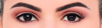 Eylure Volume Multipack Lashes - No.100
